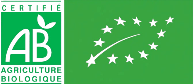 AB-1024x563.png__1_-removebg-preview (1)